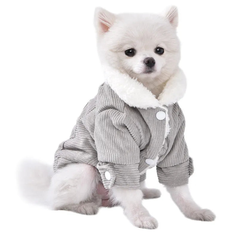 Dog wearing grey lambswool vest with fleece lining for autumn and winter warmth