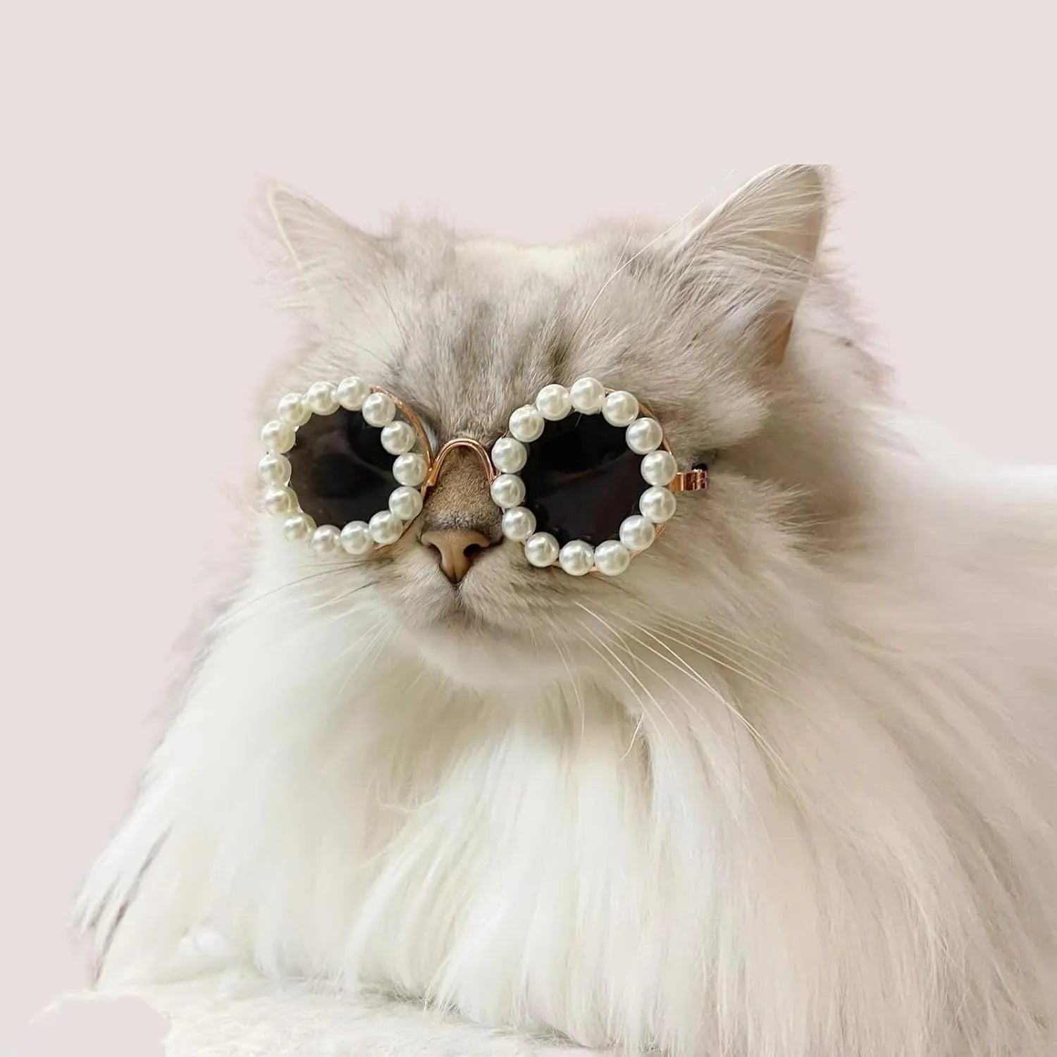 Pearl-decorated round sunglasses for cats and dogs in multiple colours and two sizes