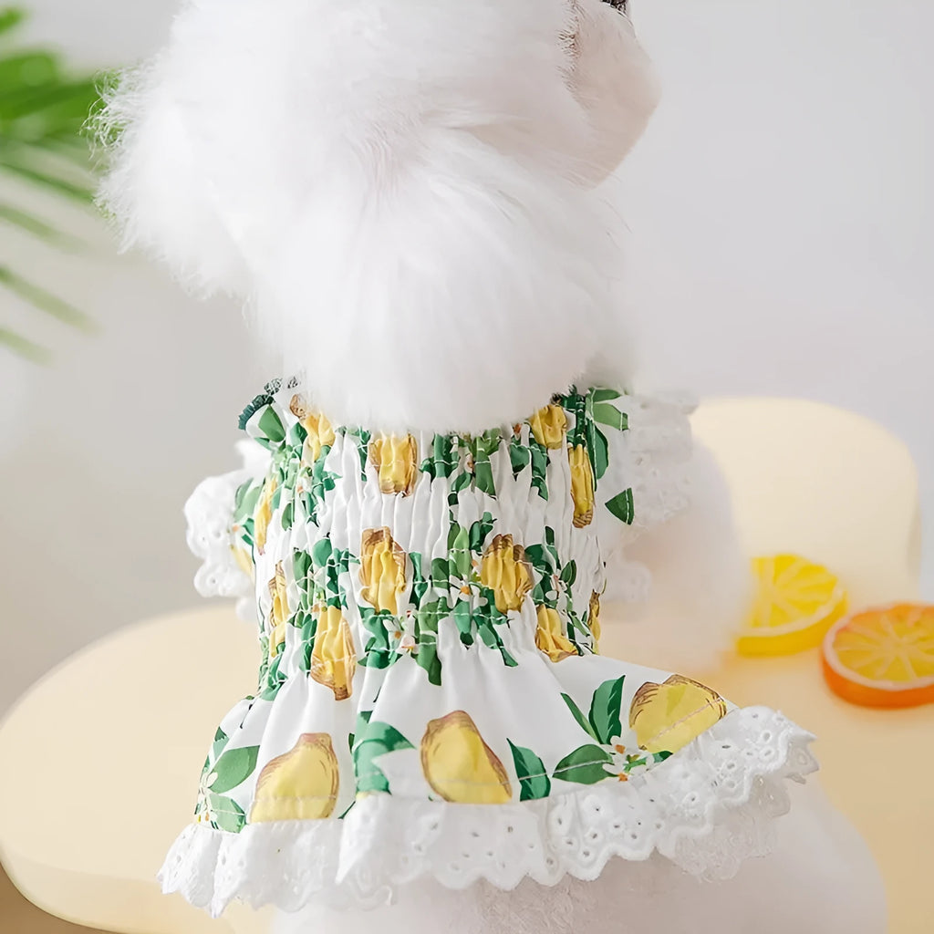 Rock yellow lemon polyester strap skirt dog dress for small dogs with breathable thin material