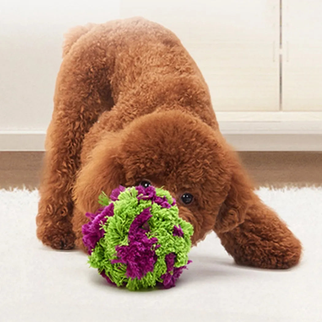 Purple plush seaweed ball dog chew toy measuring 15cm diameter for teething puppies and interactive play