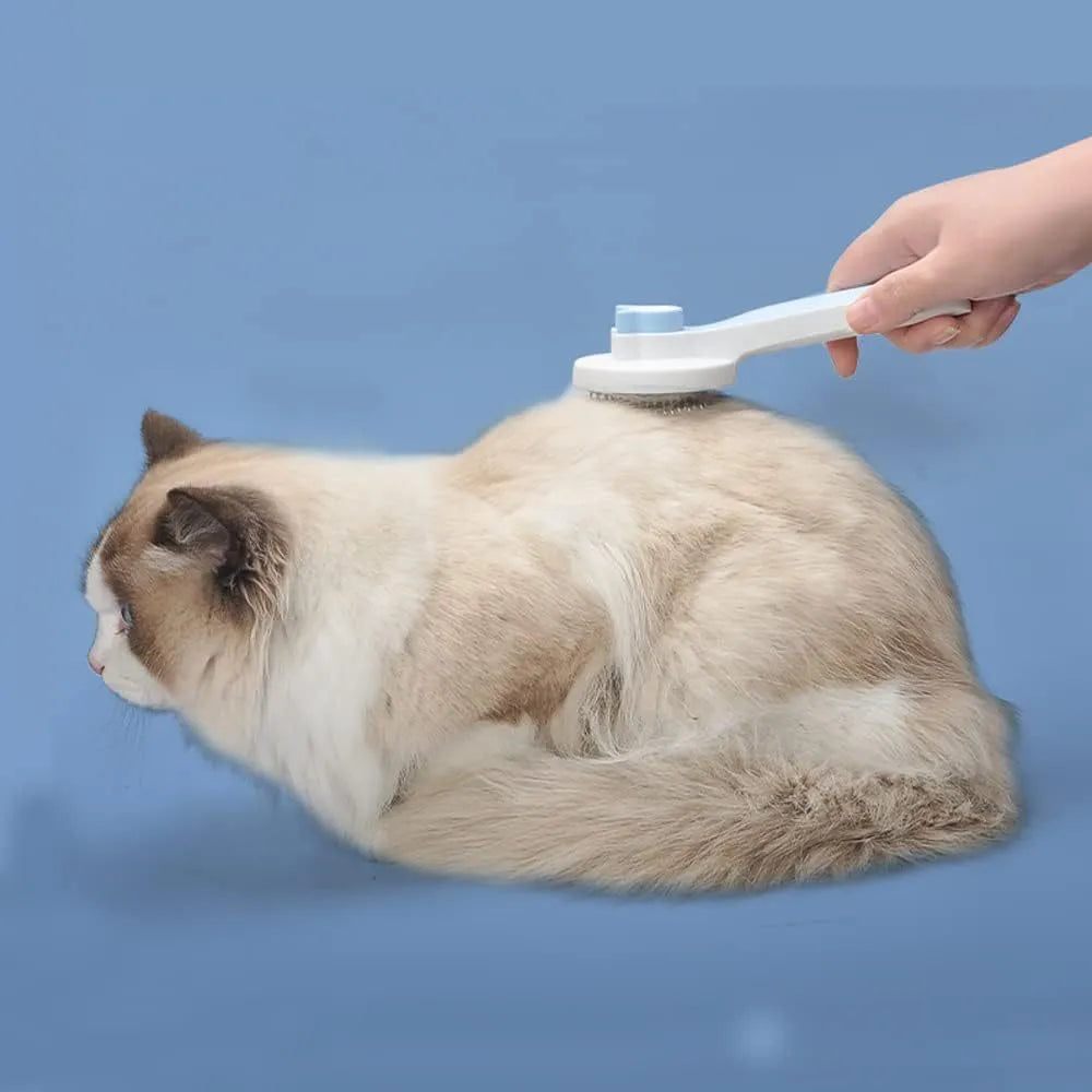 Blue self-cleaning cat brush with rubber-tipped needles and ergonomic handle for pet grooming