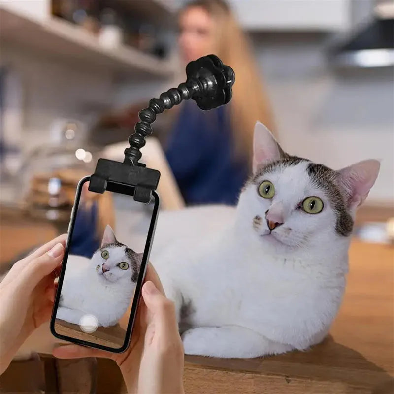 Black pet photography tool holding a mobile phone and a dog treat, on a white background.