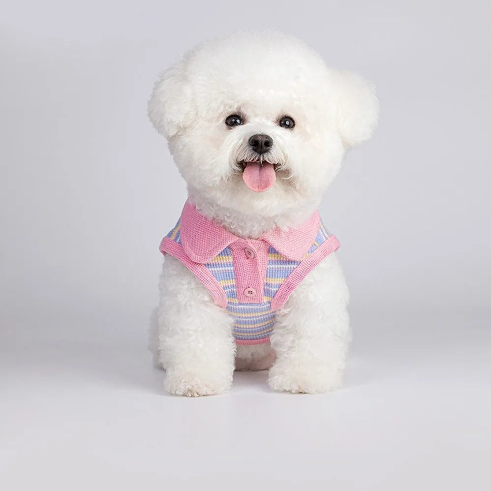 Pink purple autumn vest for small dog showing seven size options from XXS to XXL