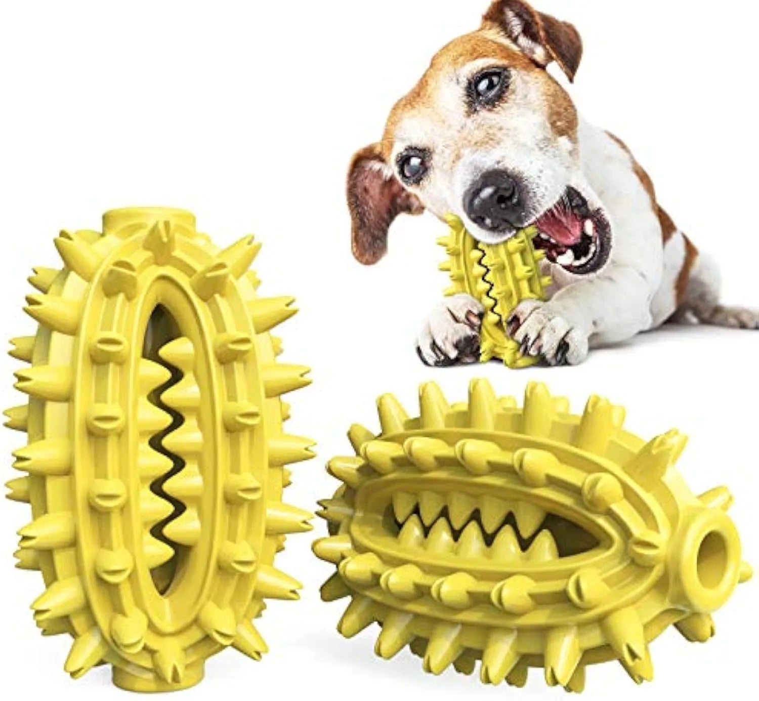 Green cactus-shaped dog dental chew toy with textured bumps for teeth cleaning