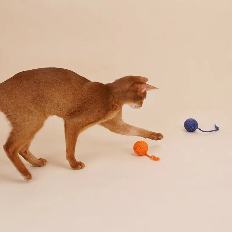 Cat toy set with teaser stick, bite-resistant catnip ball, and interactive toys in multi-colours
