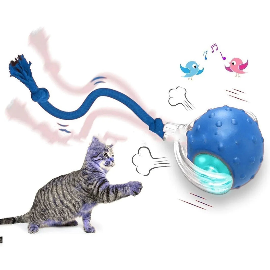 Interactive electronic cat toy ball with coloured lights on grey, green, and red backgrounds.