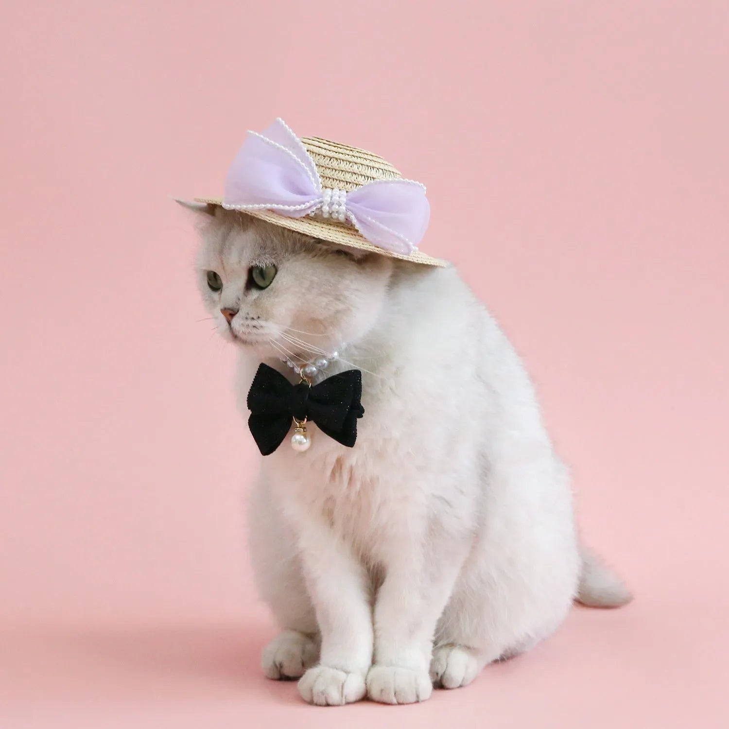 Pet cat wearing princess-style straw hat with woven pearl bow decoration in lafite leaves material