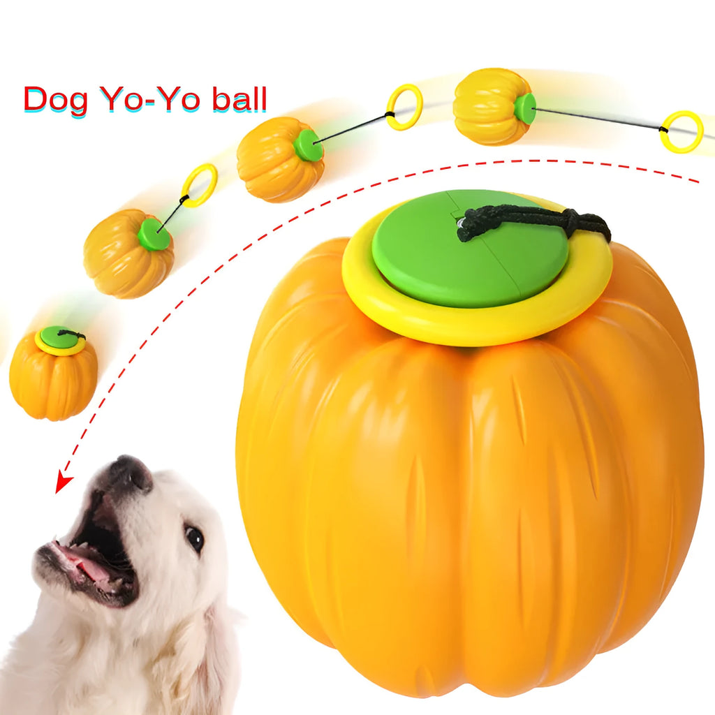 Plastic pumpkin dog chew toy with squeaker for small dogs in orange colour