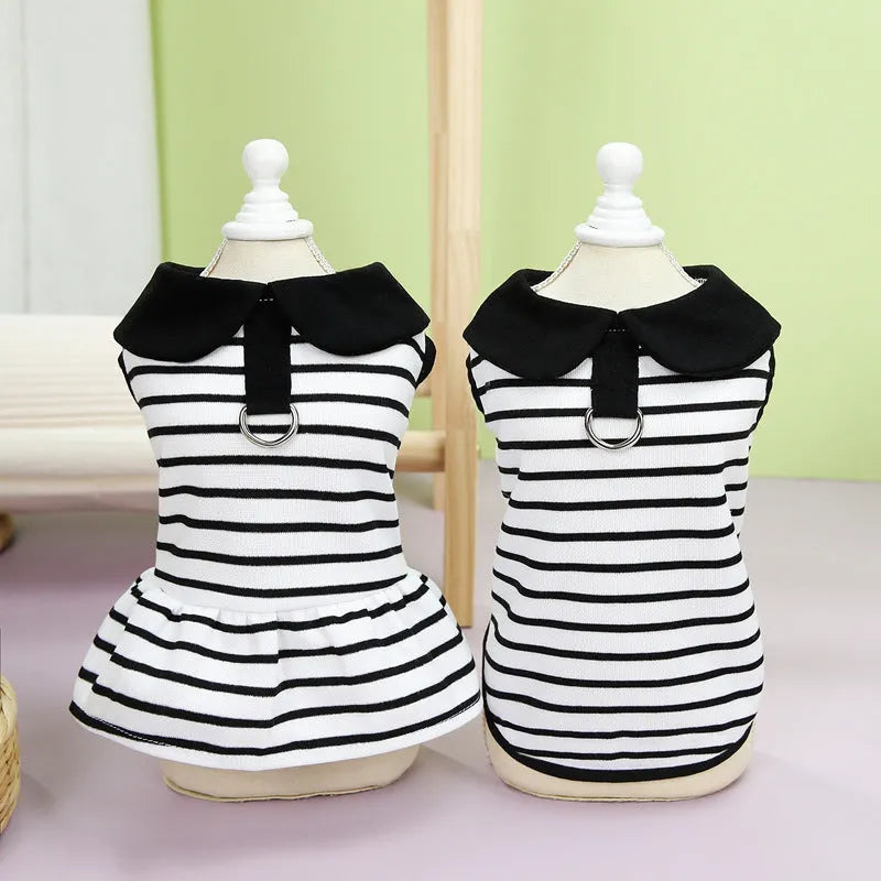 Pet dog wearing striped cotton T-shirt with coordinating skirt summer outfit set