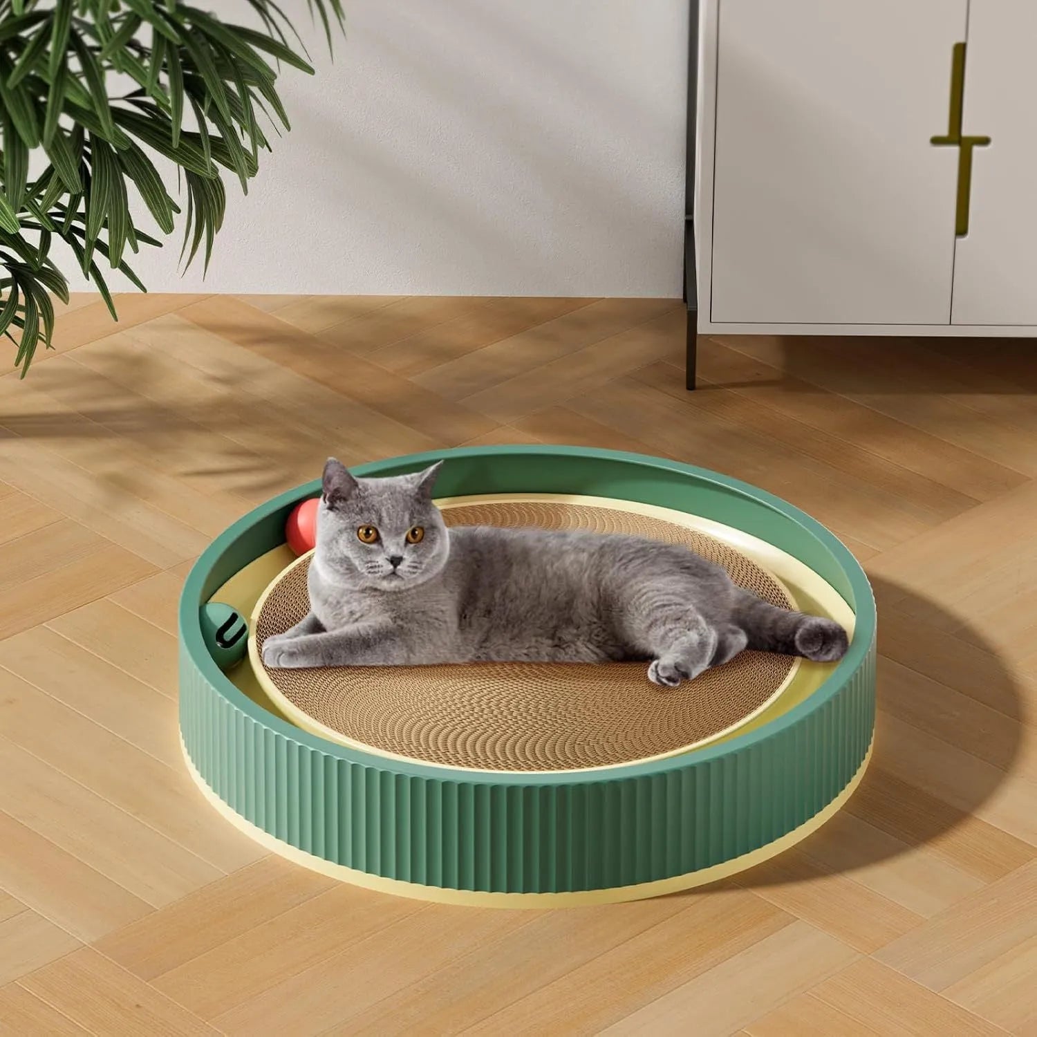 Large green circular cat scratching board with bell balls and a white spring toy in the centre.