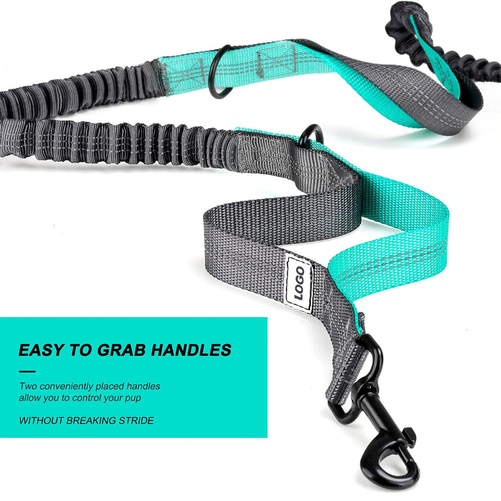 Black nylon dog walking waist bag and leash set for outdoor pet training