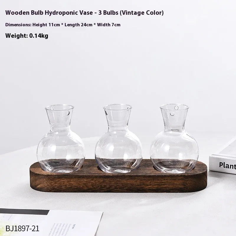Transparent hydroponic glass vase with wooden frame in wood colour and retro colour options