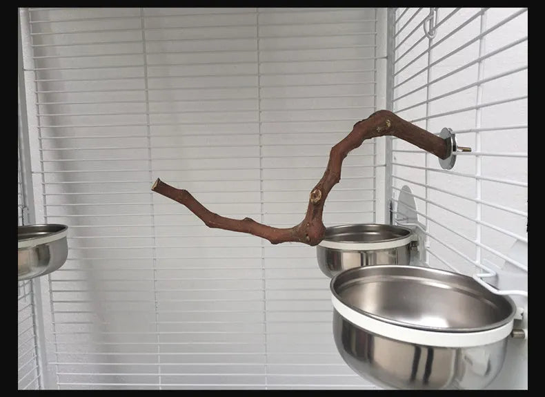 Natural grape wood bird stand pole for parrot cage, unique vine perch