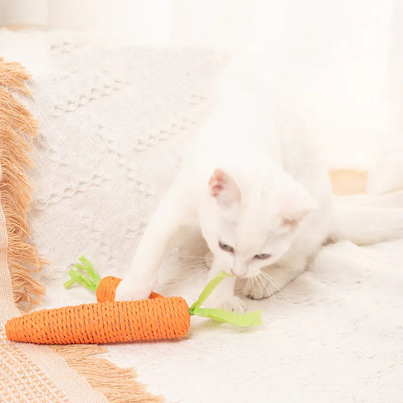 Interactive cat toys set showing carrot bites paper toys, ringing stones, cat sticks, and dental grinding sticks