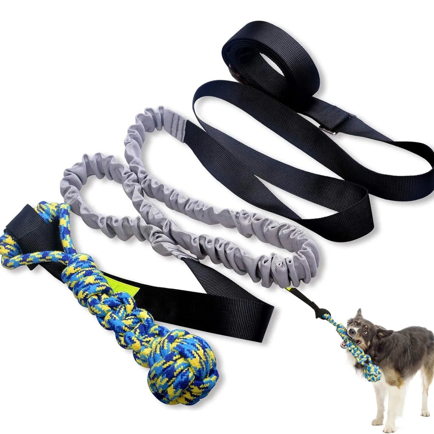 Green cotton dog tug rope toy with corncob chewable element for indoor outdoor bite play