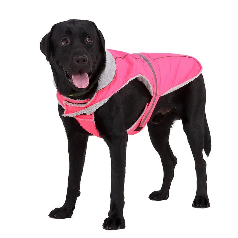 Reflective winter dog coat in pink, with harness holes, lay flat