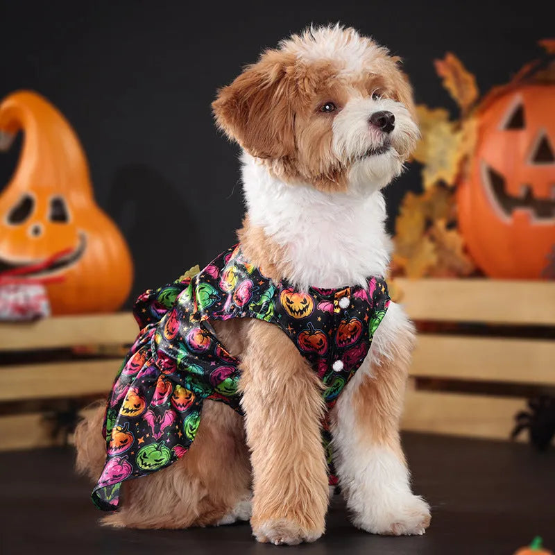 Angel wings Halloween dog costume in bright pumpkin colour showing wing design and size options