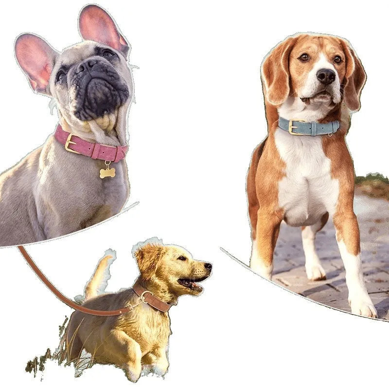 Double-layer leather dog collar and lead set in rose red, brown, or blue for small to extra-large dogs