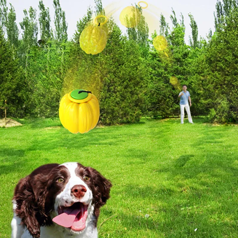 Plastic pumpkin dog chew toy with squeaker for small dogs in orange colour