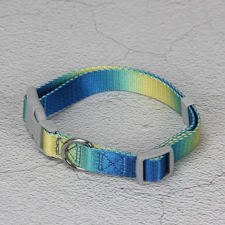 Gradient colour nylon dog leash and harness set shown in pink and blue combination.