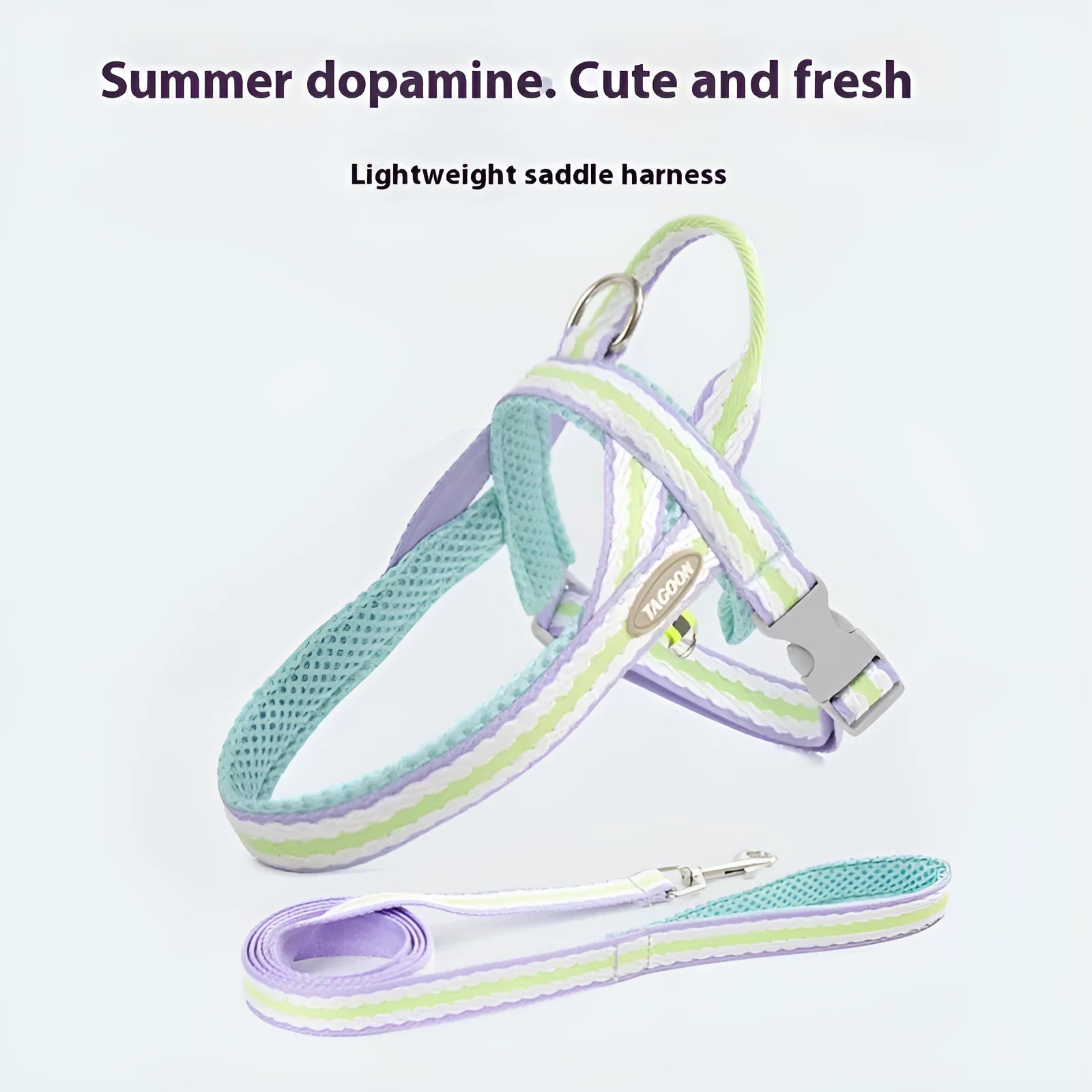 Lightweight polyester dog harness and hand-holding traction rope in sea salt yellow colour on a small dog.
