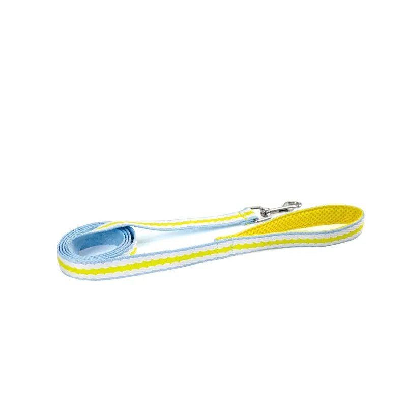 Lightweight polyester dog harness and hand-holding traction rope in sea salt yellow colour on a small dog.