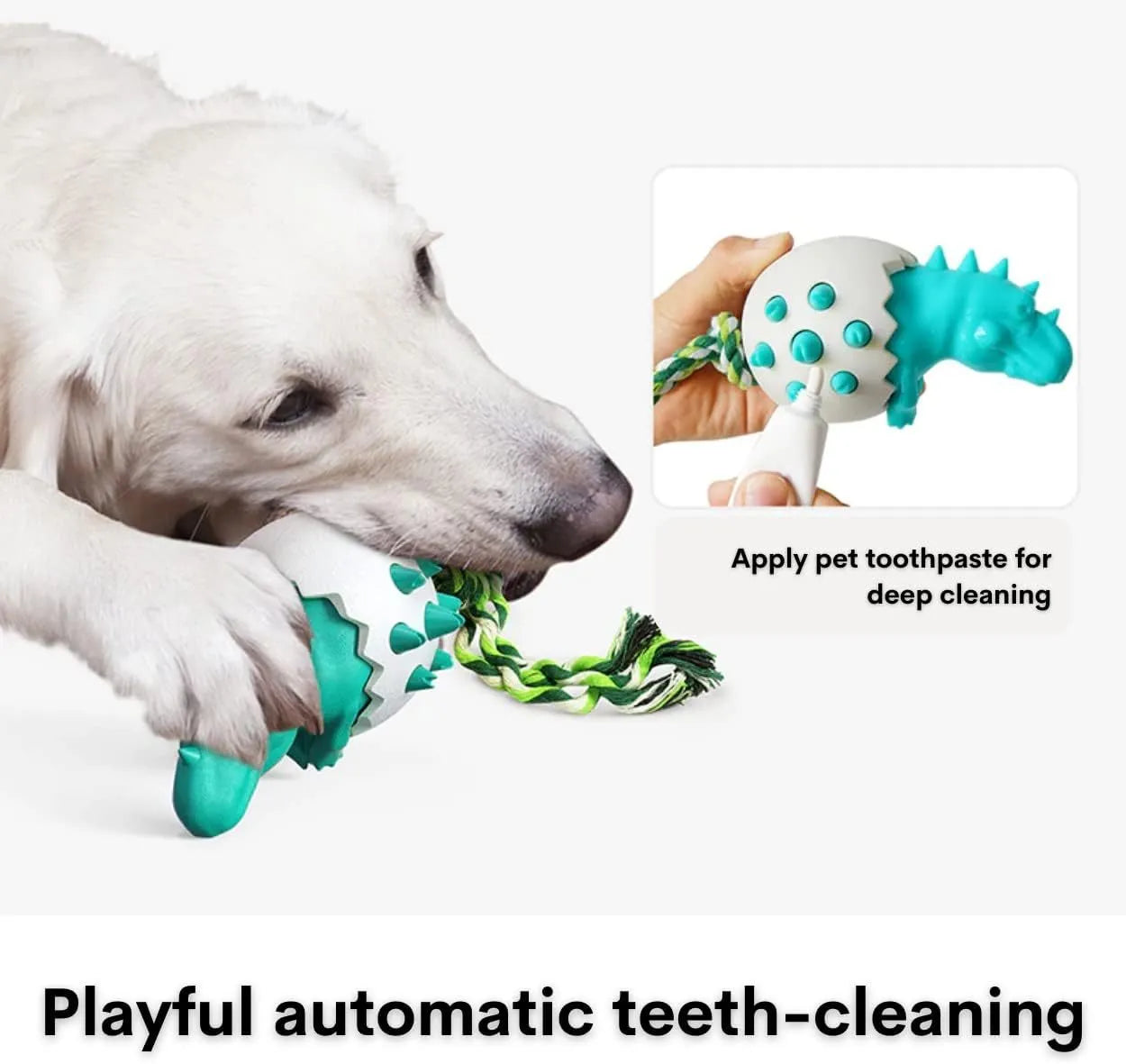 Dinosaur-shaped natural rubber dog chew toy with rope attachment in blue, green, orange or yellow