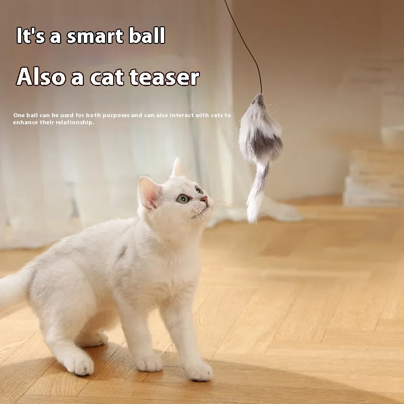 Blue orange automatic cat teaser ball with plush mouse attachment rolling on floor
