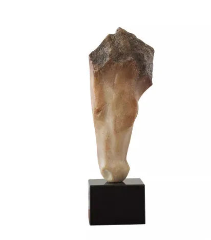 Abstract French retro style horse head sculpture with a carved finish, 50cm tall.