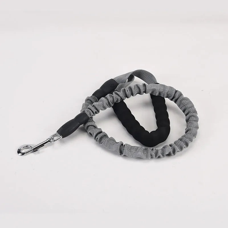 High elastic retractable dog leash in black, 95 to 135cm, with neoprene foam handle and zinc alloy hardware