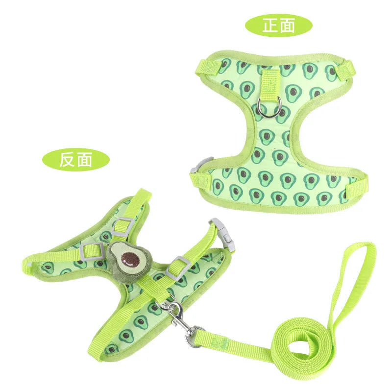 Reflective chest strap vest-style dog walking lead for small dogs in bright colours