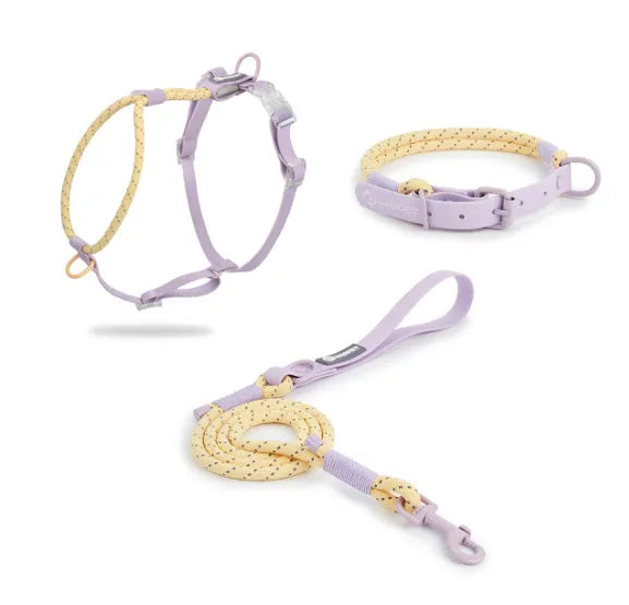 PVC solid colour dog leash with hand holding rope in dark red or taoyao green, 120cm length