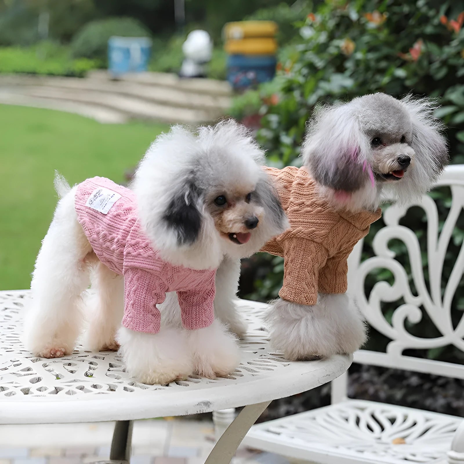 Thin acrylic pet dog sweater in grey on a dog, casual style