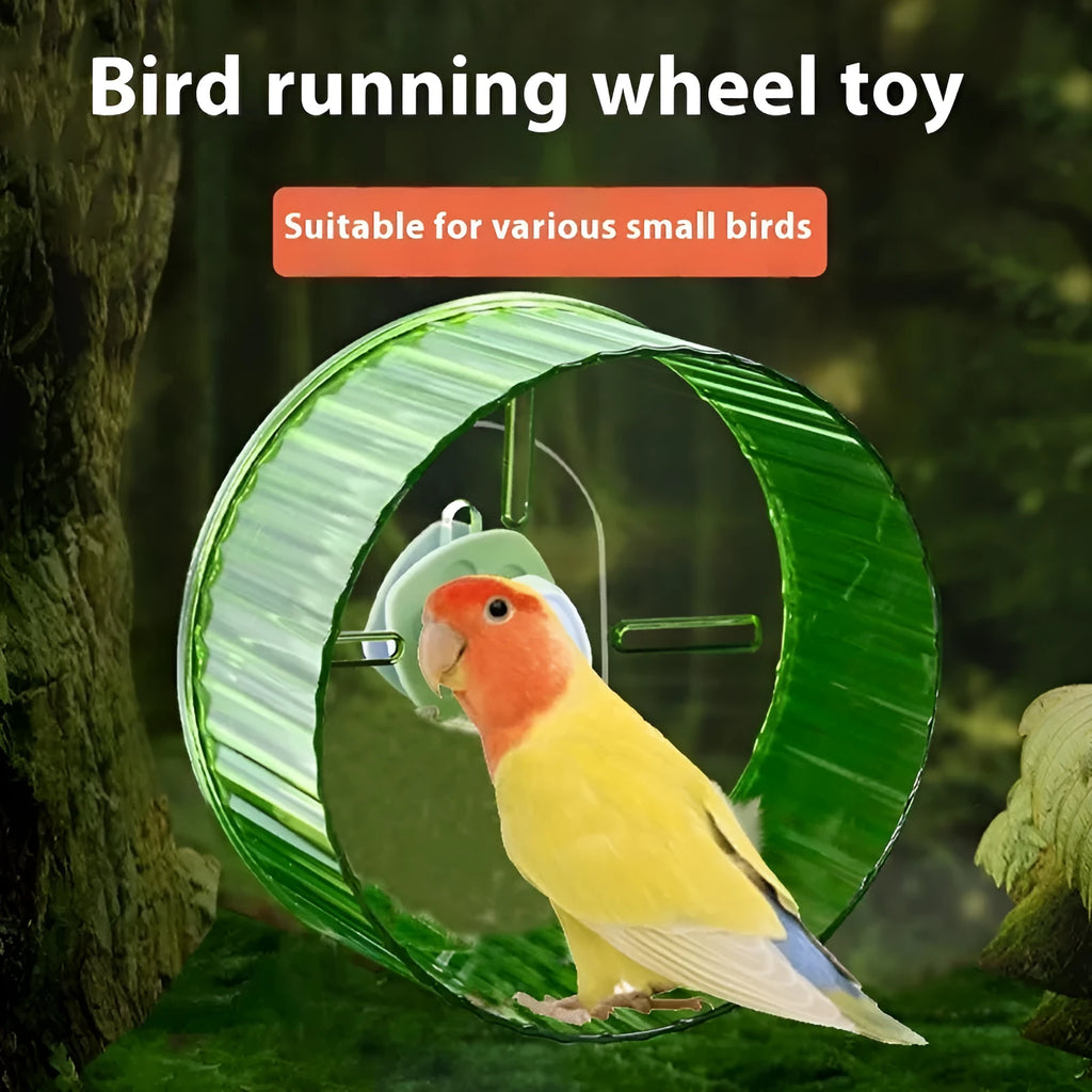 21cm plastic parrot running wheel toy in transparent, green, grey, orange, or purple colour options
