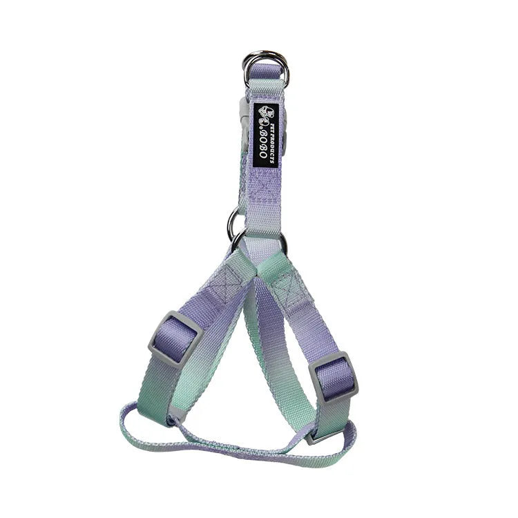 Gradient colour nylon dog leash and harness set shown in pink and blue combination.