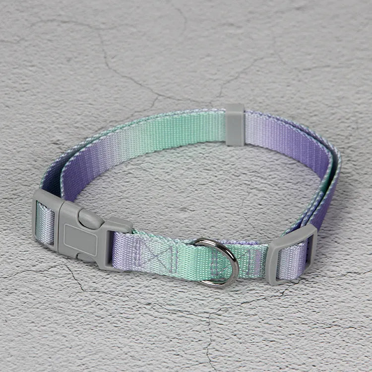 Gradient colour nylon dog leash and harness set shown in pink and blue combination.