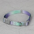 Gradient colour nylon dog leash and harness set shown in pink and blue combination.