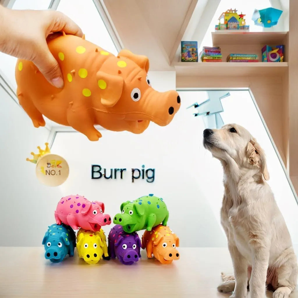 Colourful latex pig dog chew toy with textured surface and squeaker for aggressive chewers
