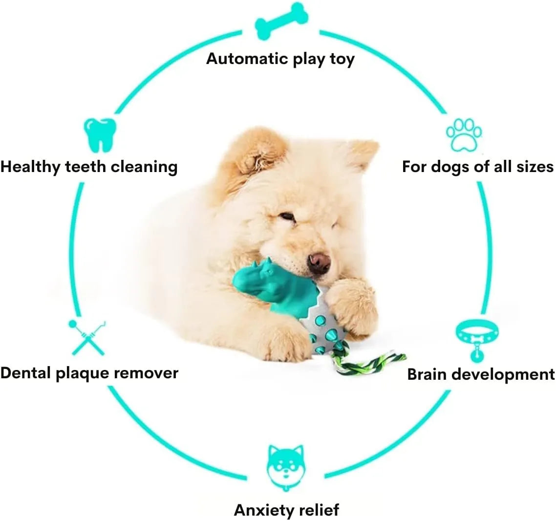 Dinosaur-shaped natural rubber dog chew toy with rope attachment in blue, green, orange or yellow