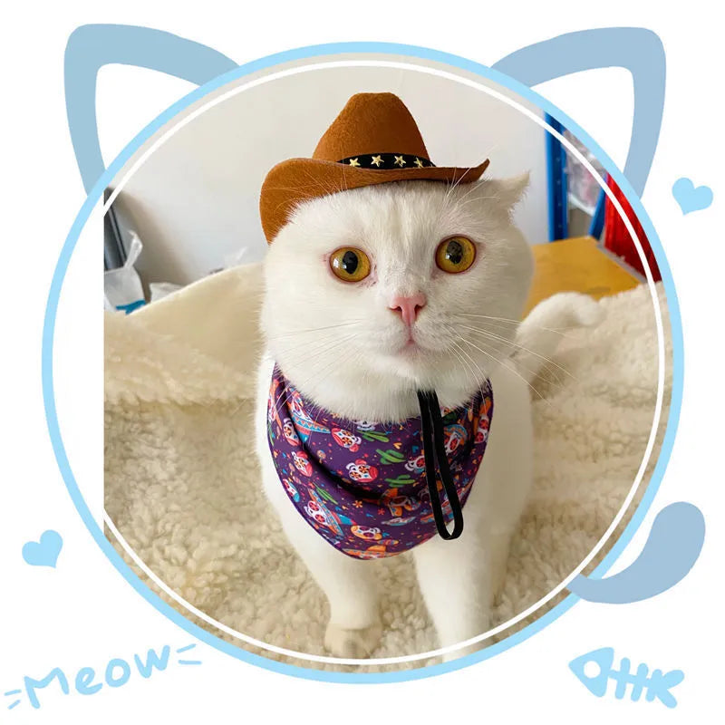 British cowboy hat for dogs and cats with decorative trim options