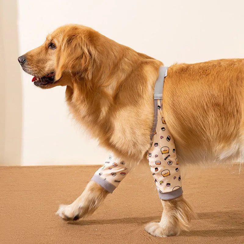 Blue dog knee protector pad with extra-thick elbow padding and matching scarf on a medium dog