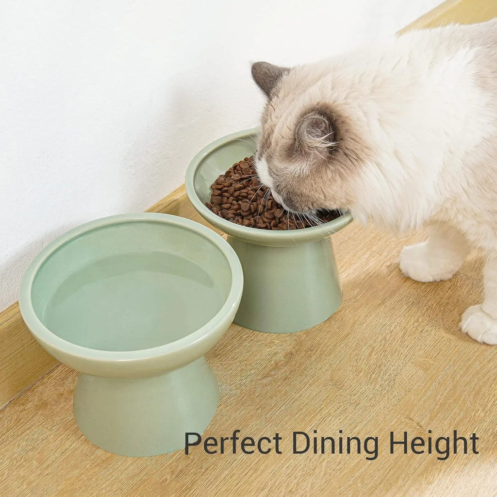 Extra wide elevated ceramic cat food and water bowl in blue, green, pink or white