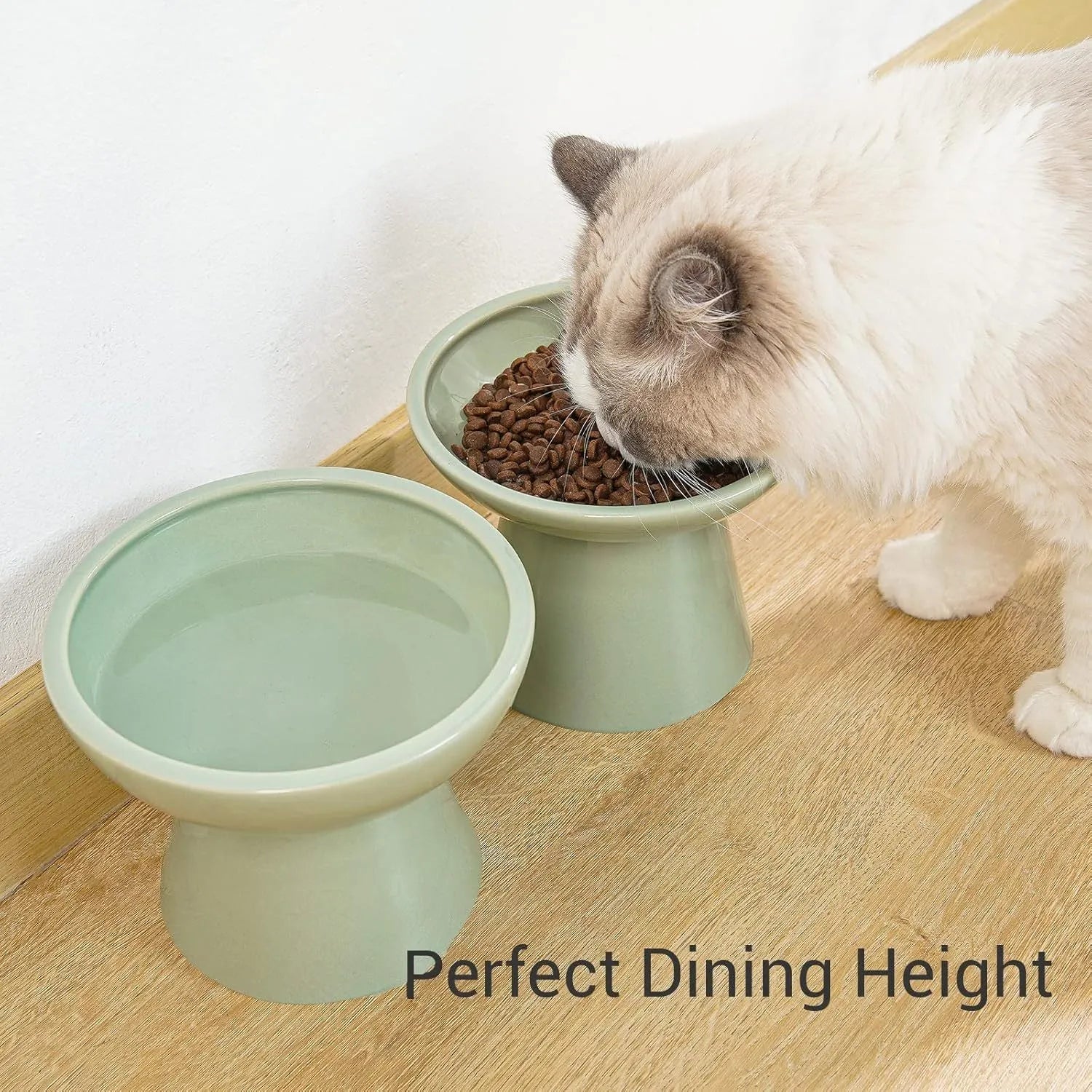 Extra wide elevated ceramic cat food and water bowl in blue, green, pink or white