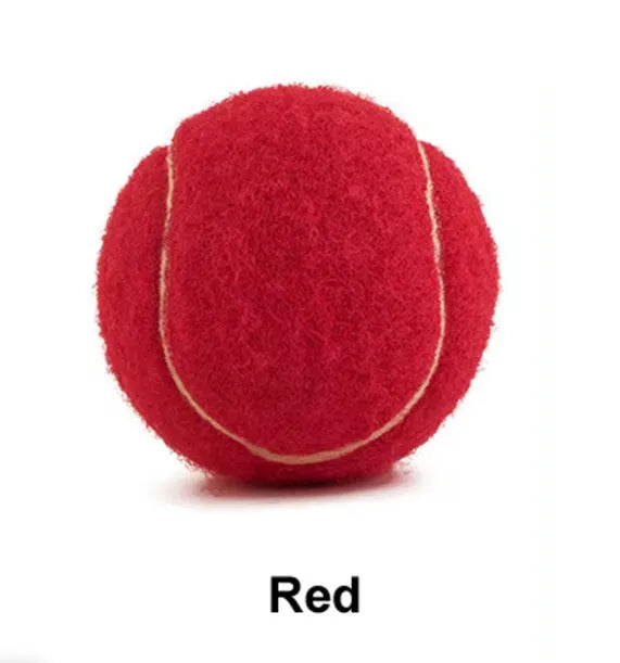 6.3 cm rubber tennis ball for dogs in assorted bright colours including pink, blue, yellow, green and orange