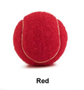 6.3 cm rubber tennis ball for dogs in assorted bright colours including pink, blue, yellow, green and orange