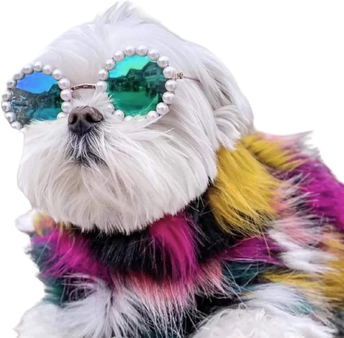 Pearl-decorated round sunglasses for cats and dogs in multiple colours and two sizes