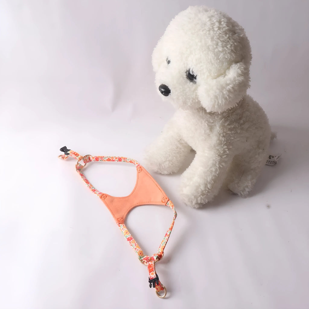 Cloth dog harness and leash set shown in an orange colour, with size options for small to medium dogs.
