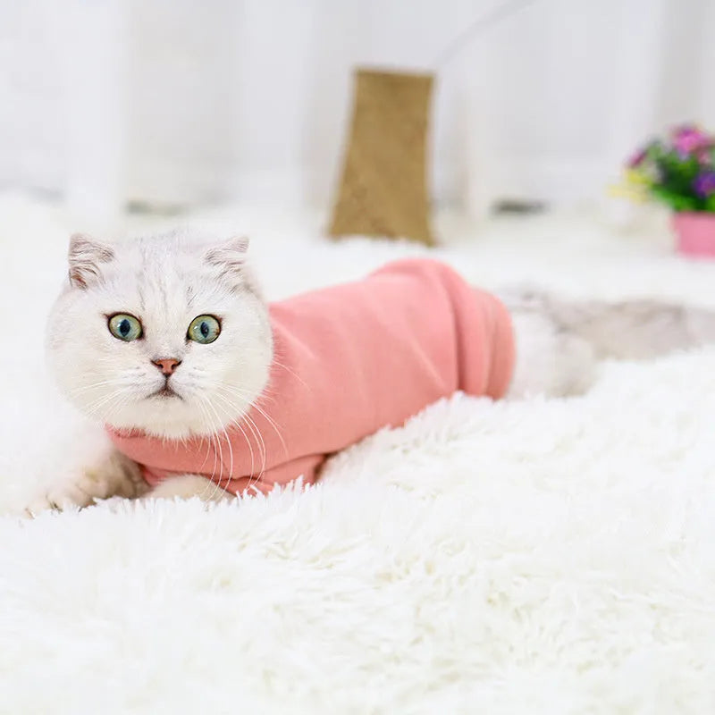 Simple warm pet clothes for hairless cats, rabbit plush sweater in light brown, blue, pink, leisure style