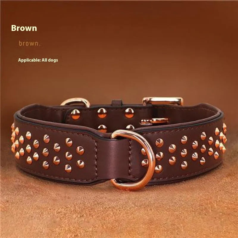 Leather dog collar with a line of metal anti-bite rivets, shown in chocolate brown colour.