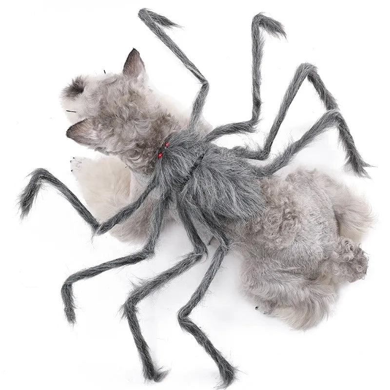 Halloween spider costume for a dog or cat in black and purple colours.